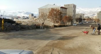 ساماندهی پسماند شهری با مصوبه جدید شورای اسلامی شهر خلخال
