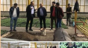 بازدید شهردار خلخال از پارک ائلر باغی و مجموعه گلخانه شهرداری