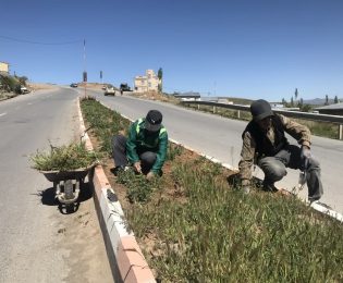 مناسب سازی فضای سبز بلوار خروجی به سمت شهر هشجین در بالادست میدان شهدای خلخال
