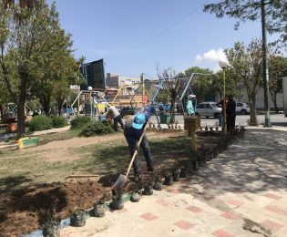 کاشت نهال های زرشک در پارک بازنشستگان خلخال