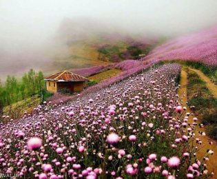 زیبایی چشم نواز خلخال / در دشت خار مریم در جاده خلخال به اسالم